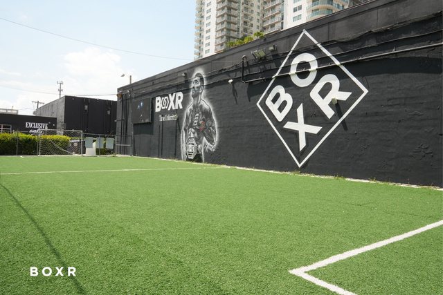 The turf